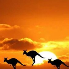 Схема вышивки «Жара.»