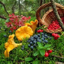 Схема вышивки «№2696924»