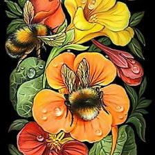 Схема вышивки «Настурция»