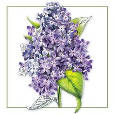 Схема вышивки «Сирень»