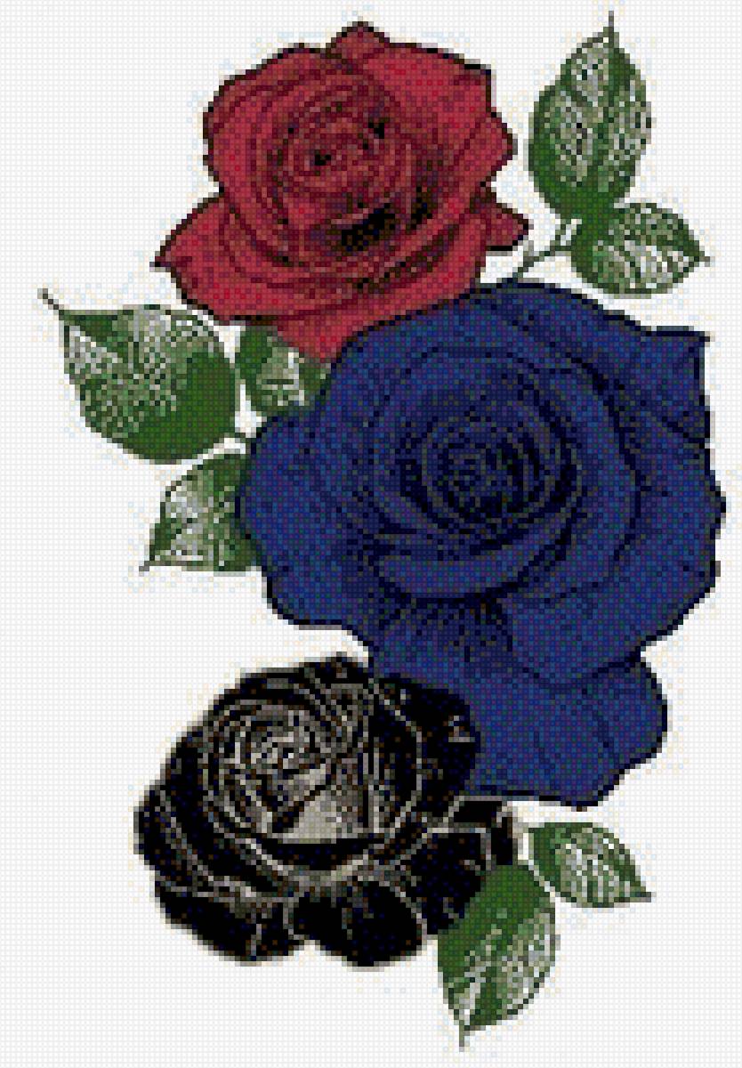 Rosas - предпросмотр