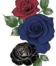 Rosas