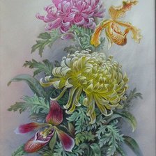 Схема вышивки «№2698306»