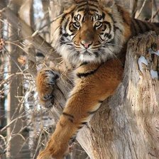 Схема вышивки «На посту»