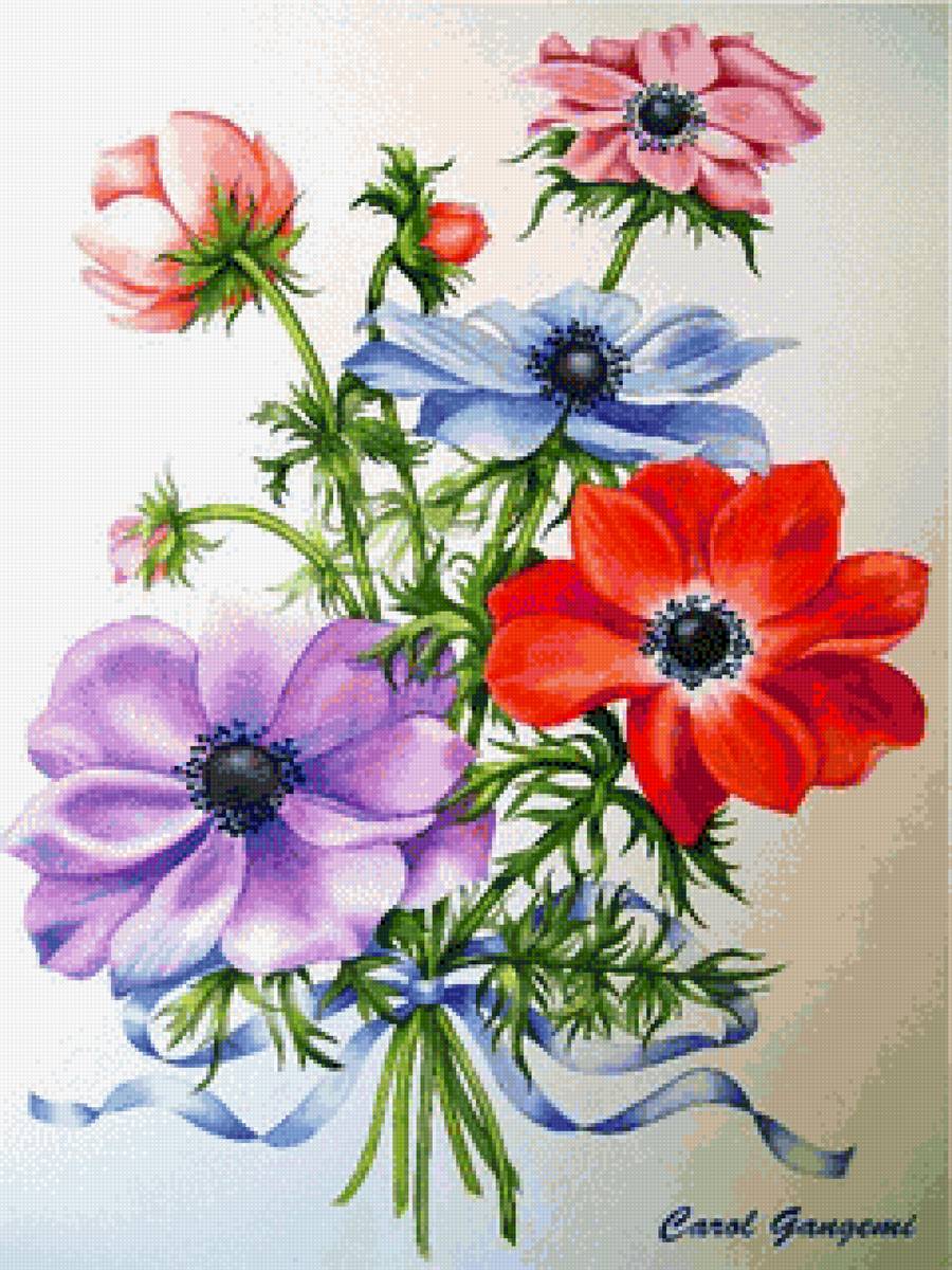 Букет анемонов - букет, анемоны, цветы - предпросмотр