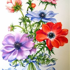 Схема вышивки «Букет анемонов»