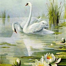 Схема вышивки «Лебеди»