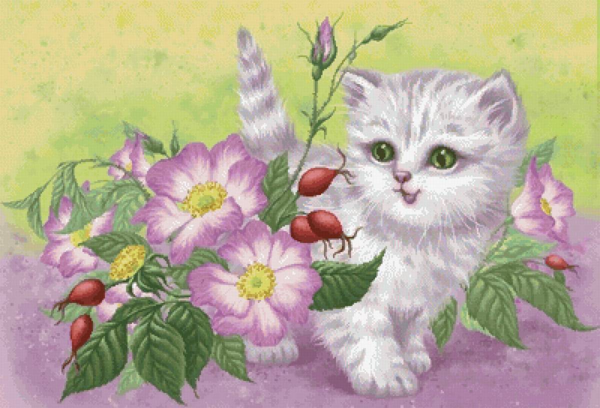 деское - котя, пнк - предпросмотр