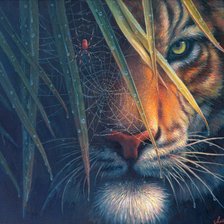 Схема вышивки «тигр»