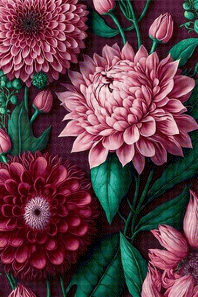 Георгины - георгины, цветы - предпросмотр