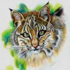 Схема вышивки «рысь»