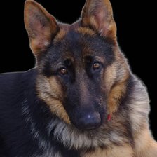 Схема вышивки «Sahira joven»