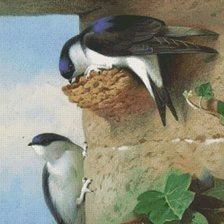 Схема вышивки «Стрижи»