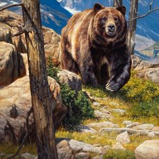 Схема вышивки «красавчик»