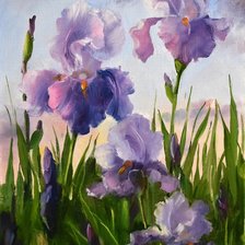 Схема вышивки «Ирисы»