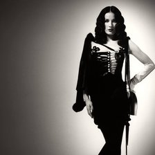 Схема вышивки «Дита фон Тиз»