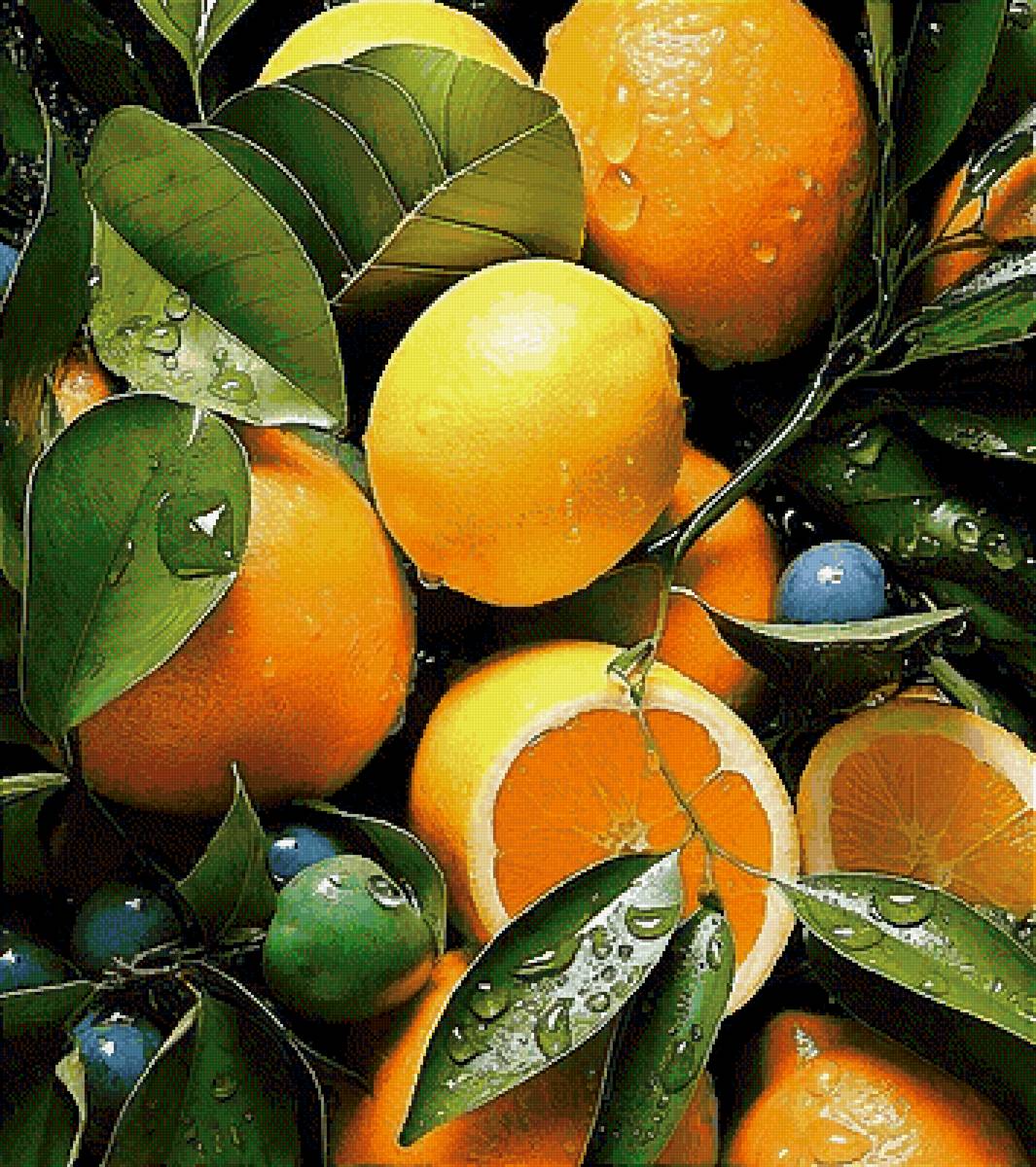 Цитрусовая свежесть 2 - предпросмотр