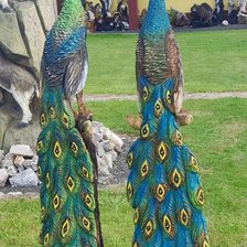 Схема вышивки «№2703158»