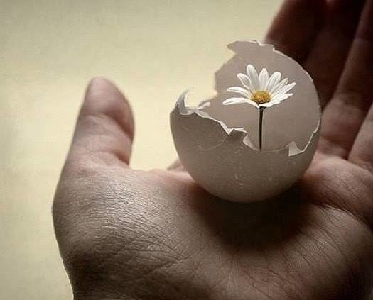 №2703219 - оригинал