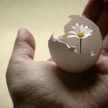 Схема вышивки «№2703219»