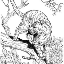 Схема вышивки «№2703229»