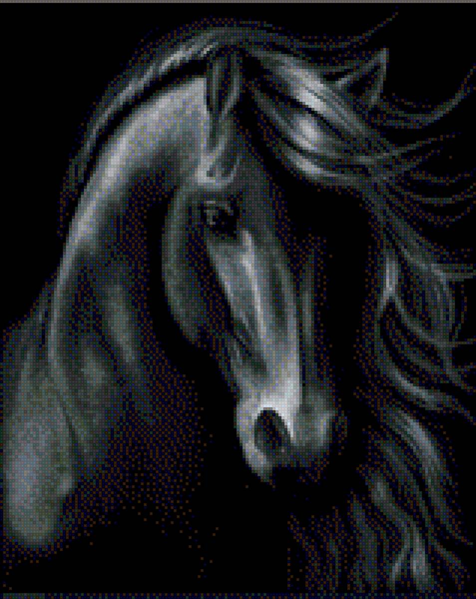 Caballo negro - предпросмотр