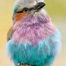 Схема вышивки «№2703269»