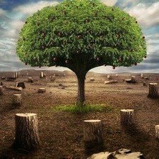 Схема вышивки «№2703275»