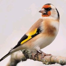 Схема вышивки «№2703341»