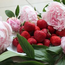 Схема вышивки «вкусные пионы»