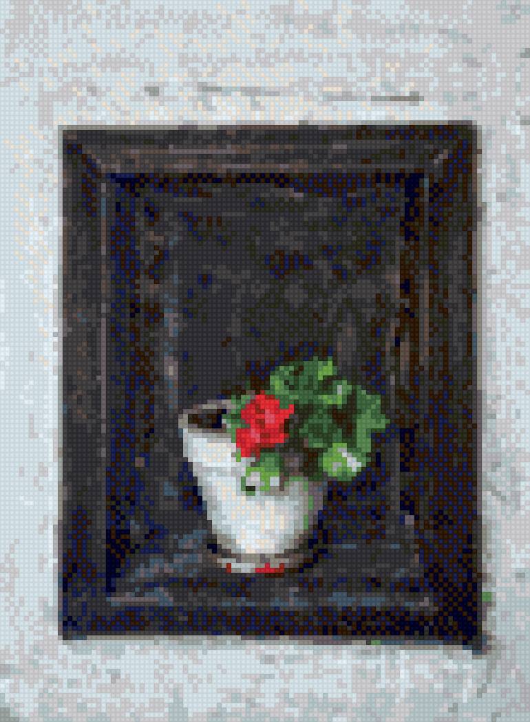 Саксия с мушкато - цвете - предпросмотр