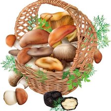 Схема вышивки «Грибы»