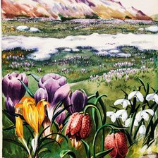 Схема вышивки «№2704823»