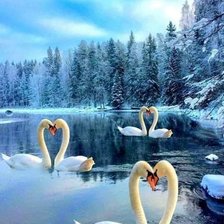 Схема вышивки «№2704892»