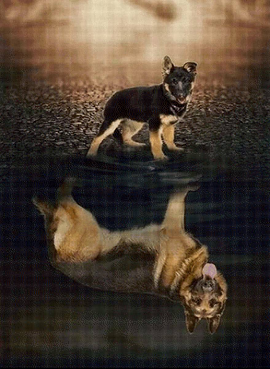 верь в себя - собака - предпросмотр