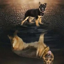 Схема вышивки «верь в себя»