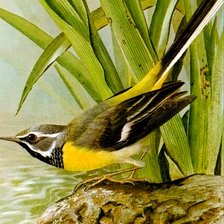 Схема вышивки «З994445»