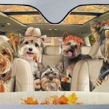 Схема вышивки «2 parasol»