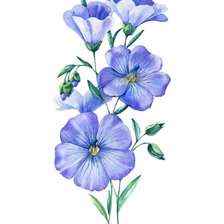 Схема вышивки «цветы»