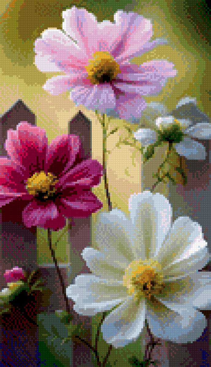 Цветы - цветы - предпросмотр