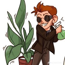 Схема вышивки «Кроули с цветком»