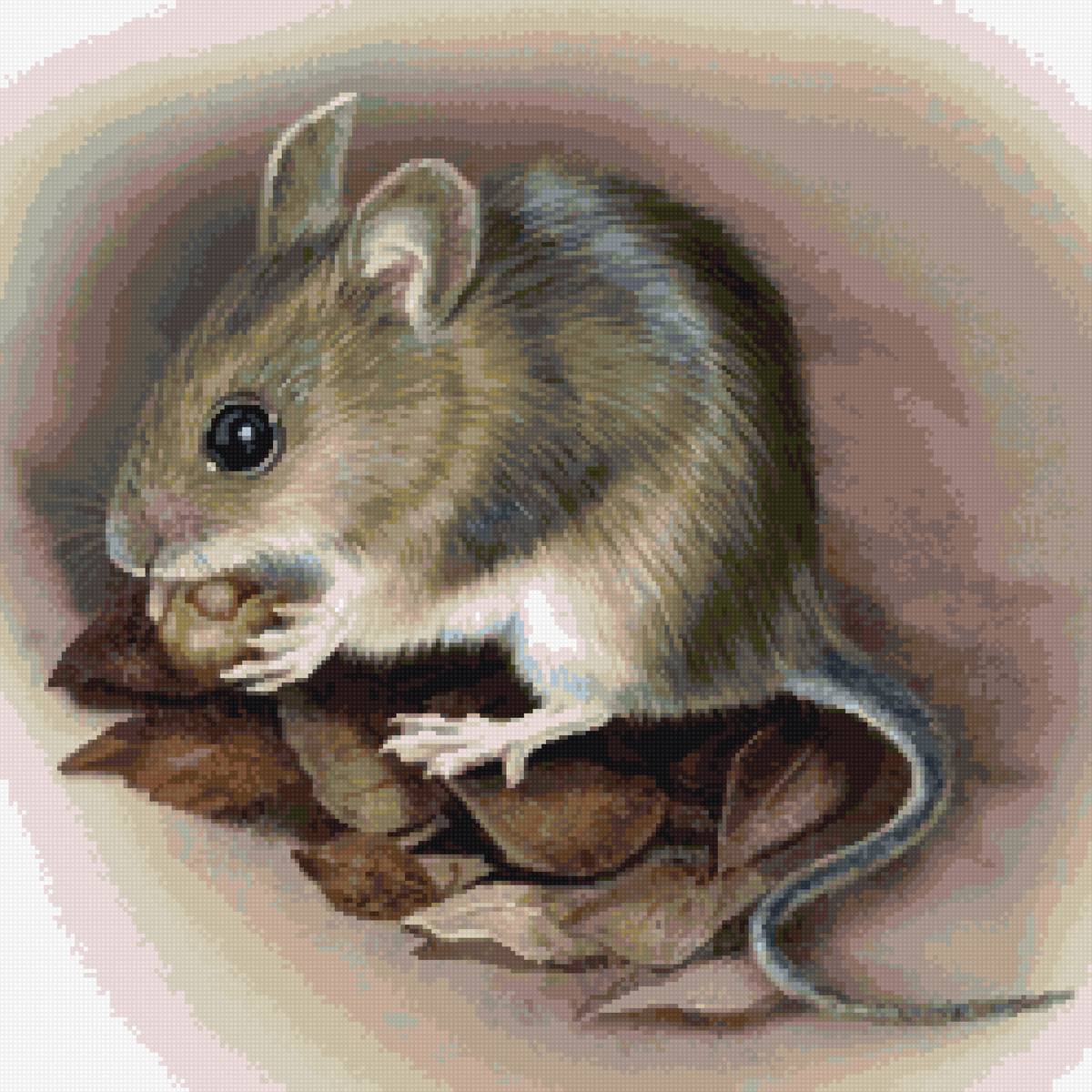 мышка - предпросмотр