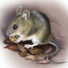 Схема вышивки «мышка»