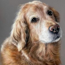 Схема вышивки «№2706104»