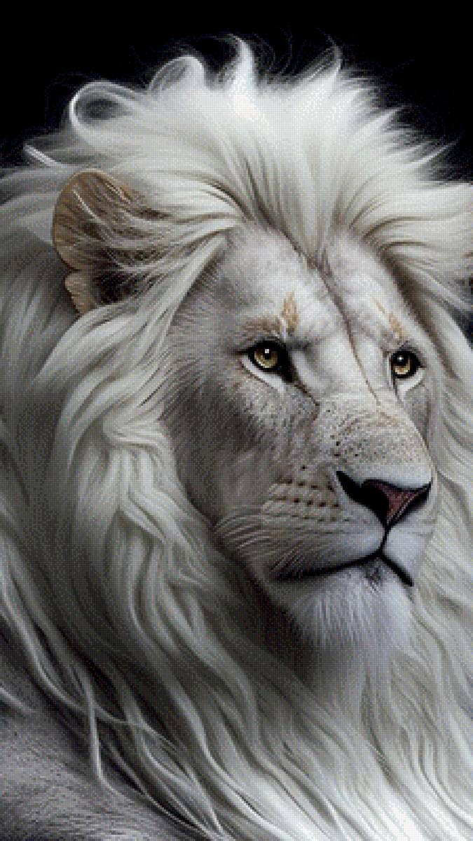 Белый Царь зверей - животные, звери, лев - предпросмотр