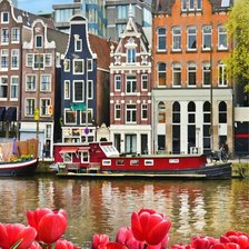 Схема вышивки «Голландия тюльпаны»