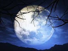 Схема вышивки «ГОЛУБАЯ ЛУНА»