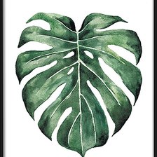 Схема вышивки «Монстера рисунок»