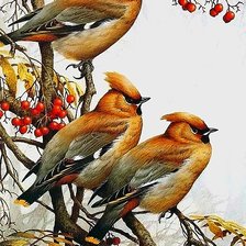 Схема вышивки «765987»