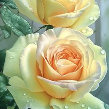 Схема вышивки «желтые розы»